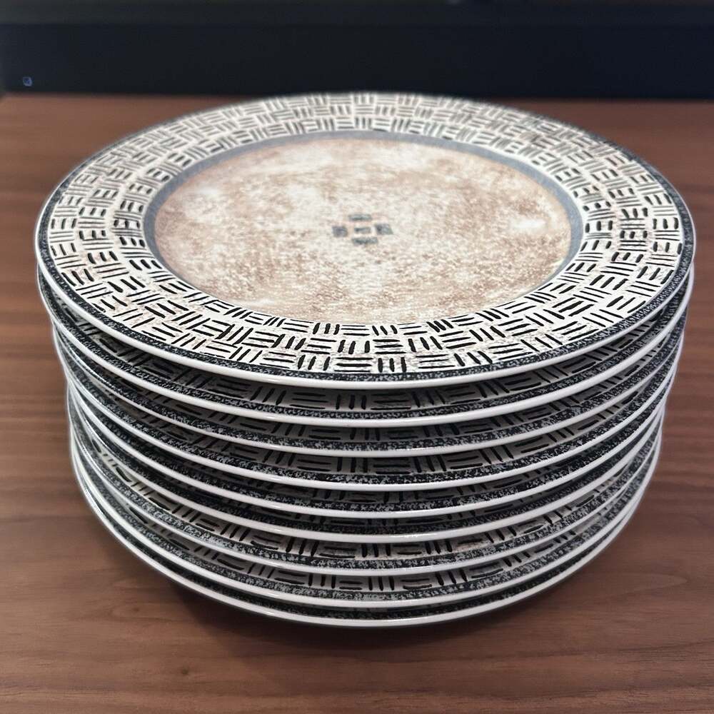 Set of 9 Sakura Oneida Terrain 8¼" Salad Plates, VTG 1999 Stoneware Sue Zipkin